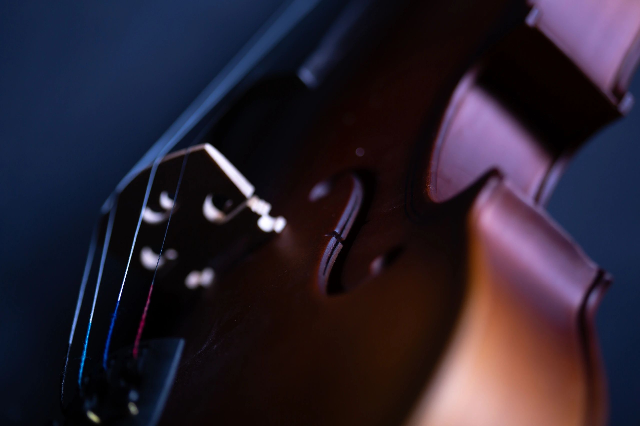 Close-up of a fine violin with warm studio lighting