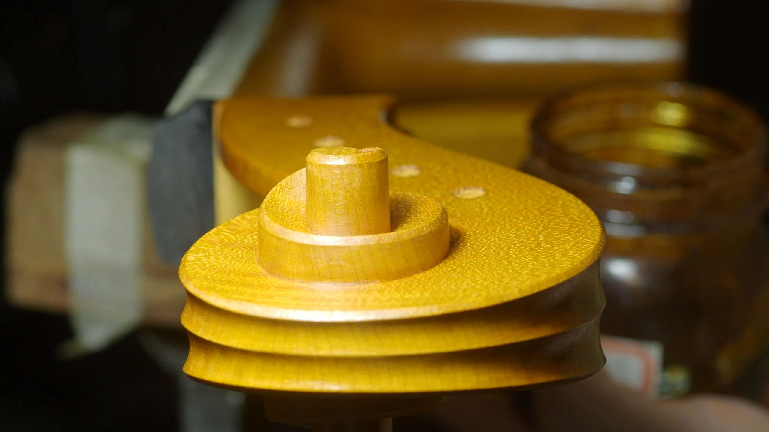 Instrument craftsmanship in a professional workshop