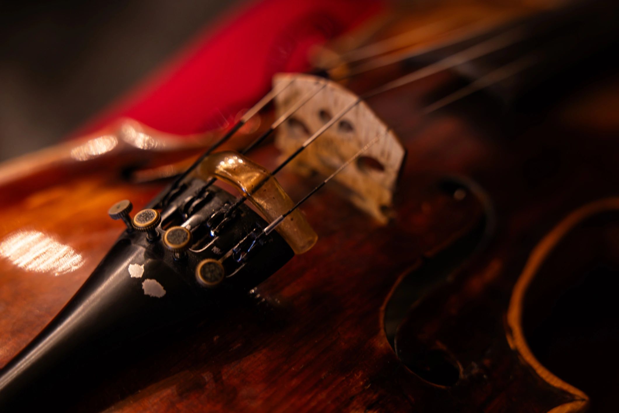 Elegant violin detail showing craftsmanship and finish